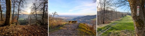 Gesamt