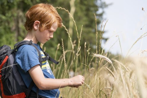 Schulwanderwettbewerb 2026. Foto: DWV/Blofield
