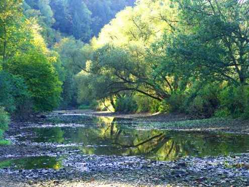 Donauversickerung bei Fridingen, Foto: Dg-505